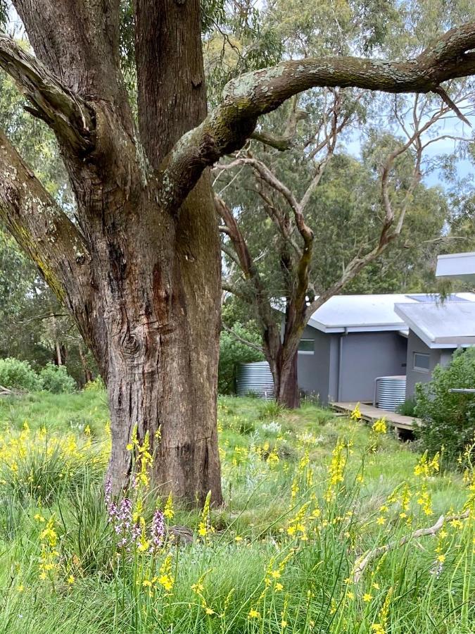 Messmates Luxury Eco Suites Inverloch Exterior photo